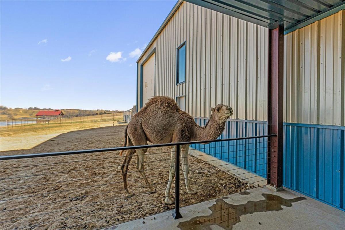Blue Hills Ranch Hotel McGregor Exterior photo